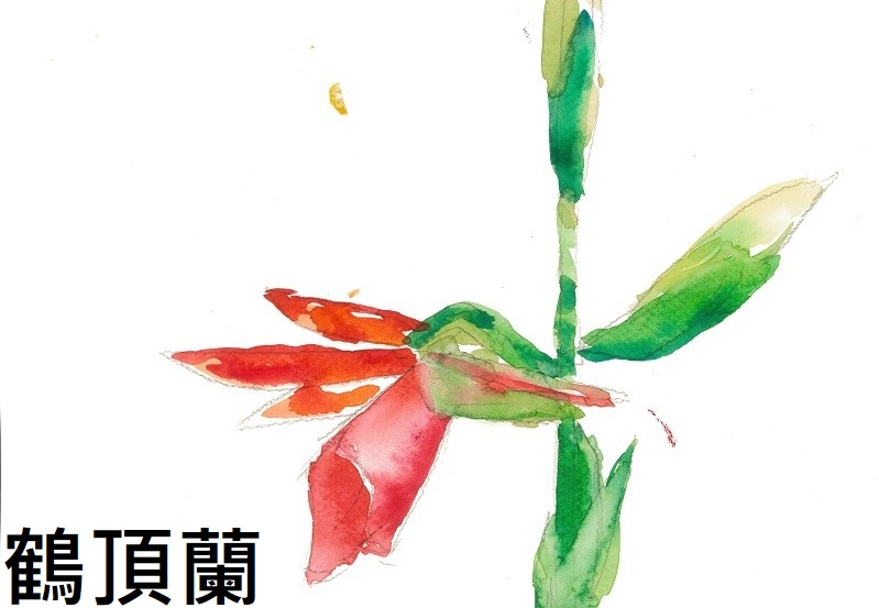 連結到55