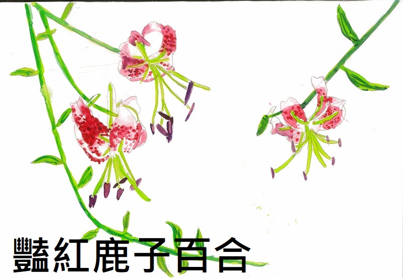 連結到56