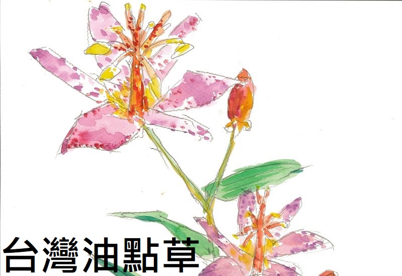 連結到46