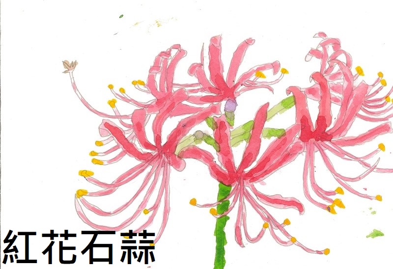 連結到49