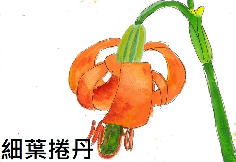 連結到50