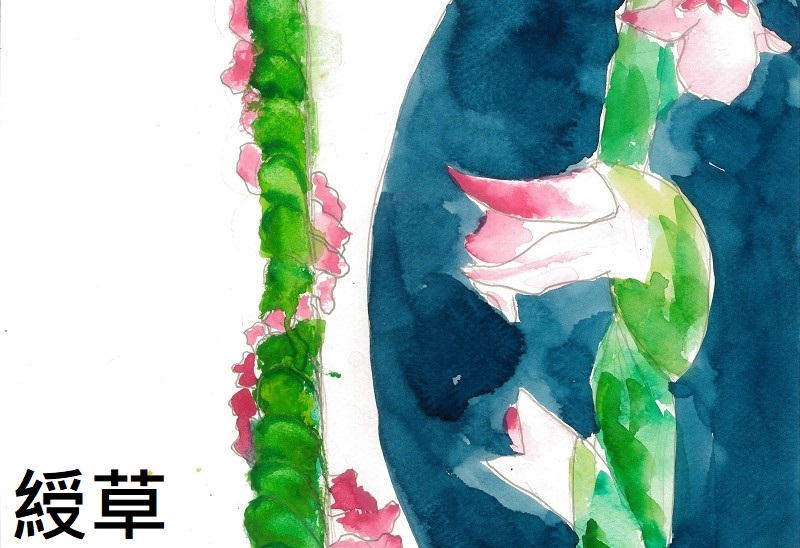 連結到51