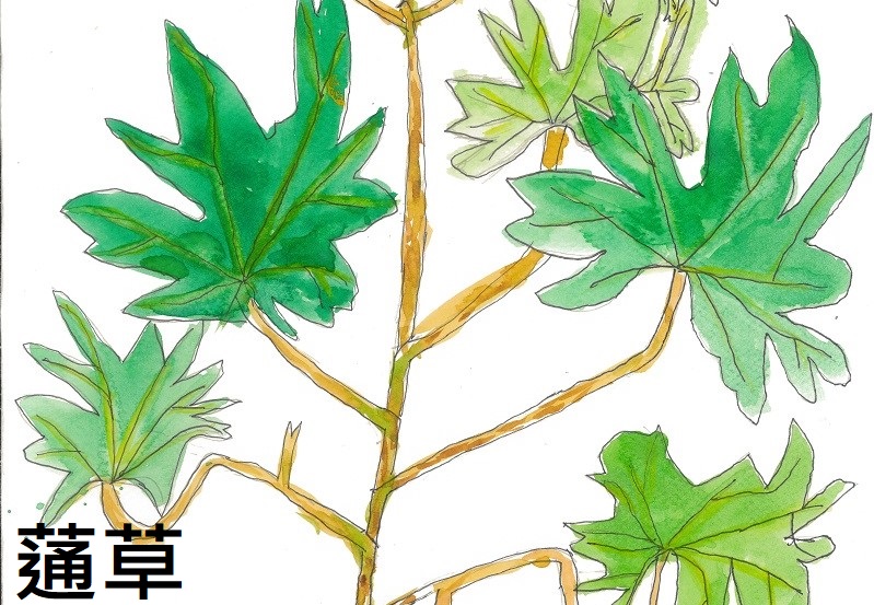 連結到52