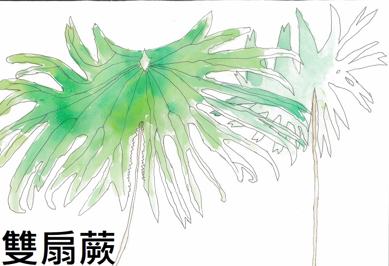 連結到53