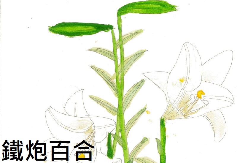 連結到54